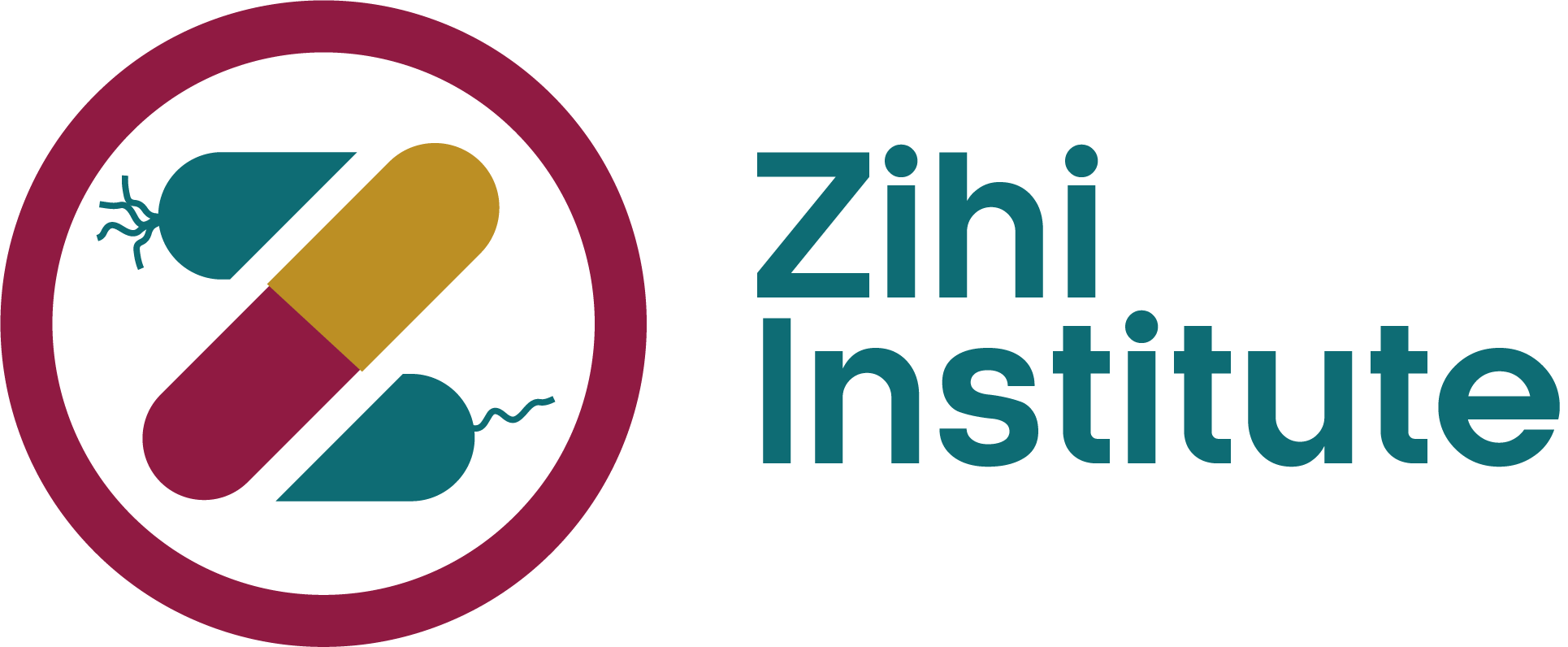 Zihi Institute Logo